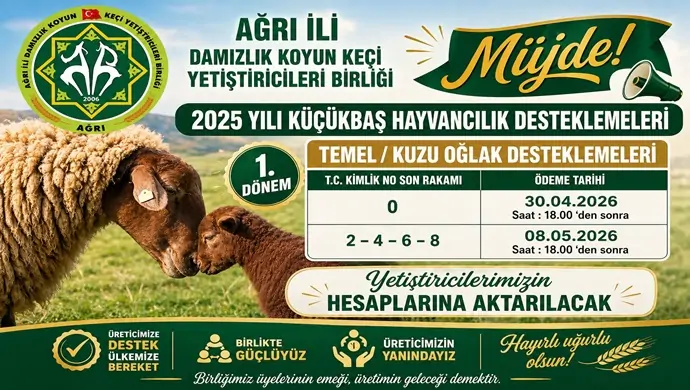 Ağrı İli Damızlık Koyun Keçi Yetiştiricileri Birliği Başkanı Mehmet Nuri Samancı`dan Müjde!